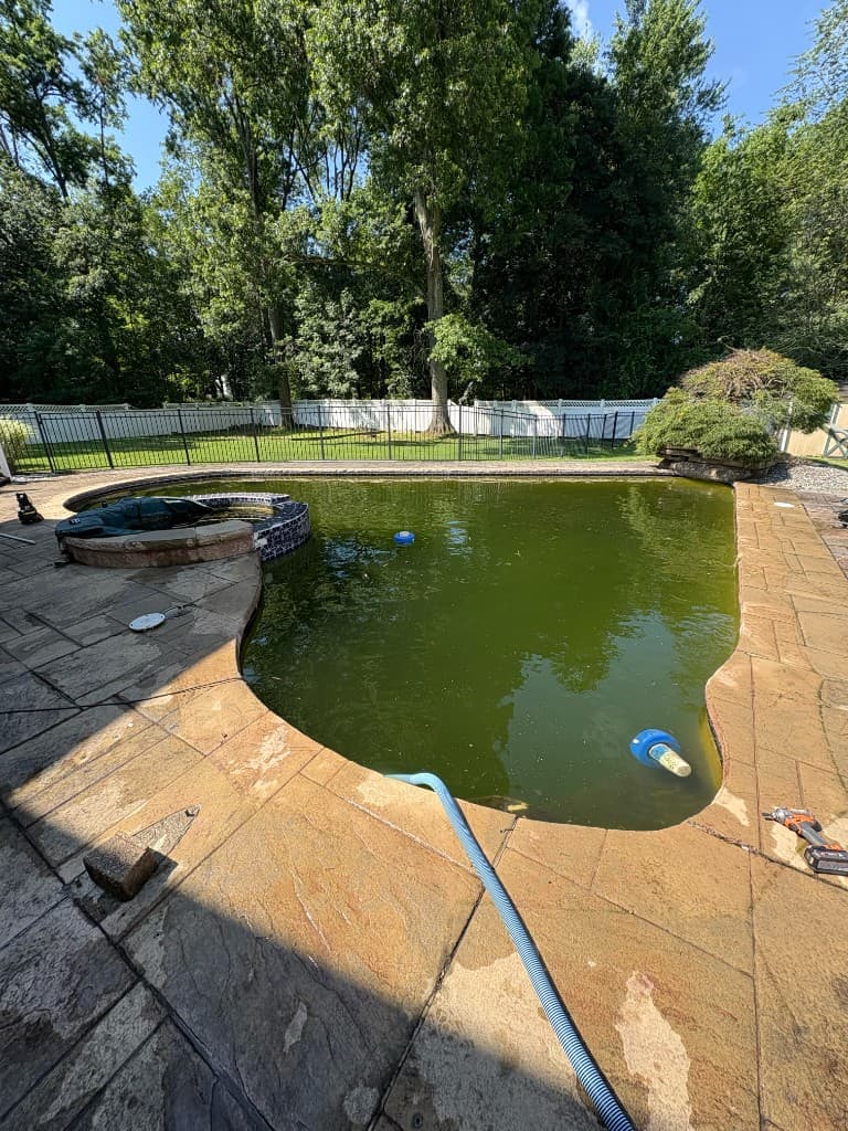 Shiny Pools project photo