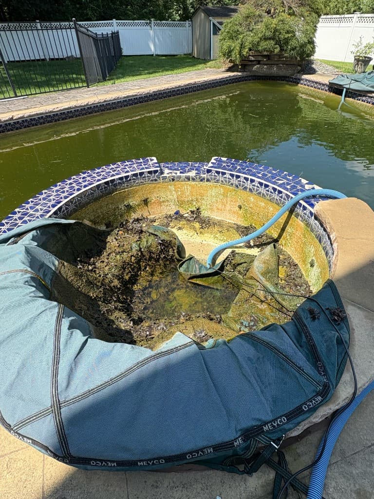 Shiny Pools project photo